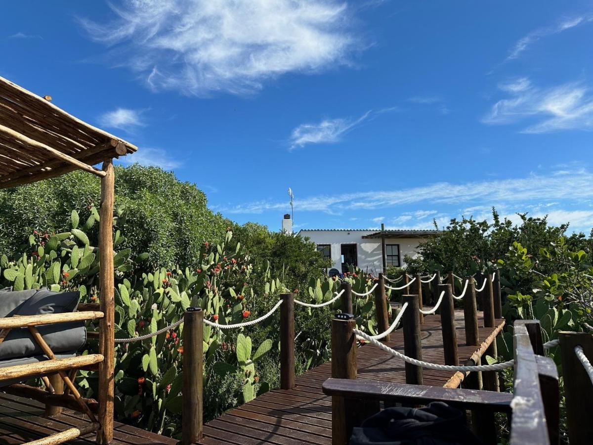 Ostrich Cottage At Les Wings Private Game Farm Groot-Jongensfontein 외부 사진